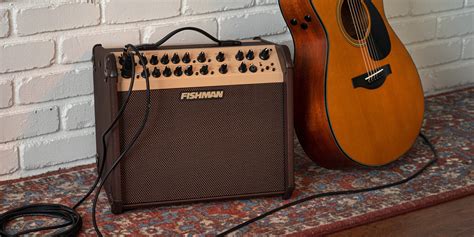 The Roland AC-33 is almost like its AC-60 counterpart but this one features 15-watt speakers It has reverb, chorus, ambiance effects, and. . Acoustic guitar amplifier vs electric